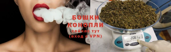 ГАЛЛЮЦИНОГЕННЫЕ ГРИБЫ Лабытнанги