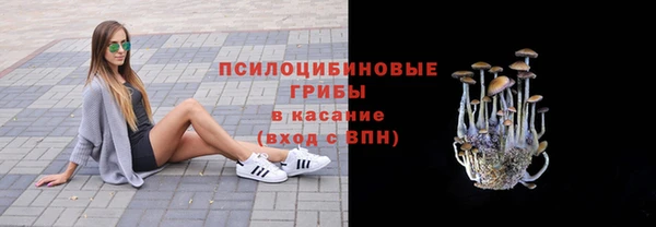 соль курить ск Лагань