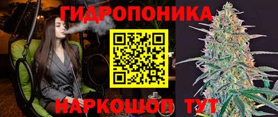 дживик Камышлов