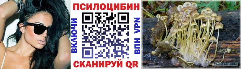 купить  сайты  Пенза  Псилоцибиновые грибы Psilocybine cubensis 
