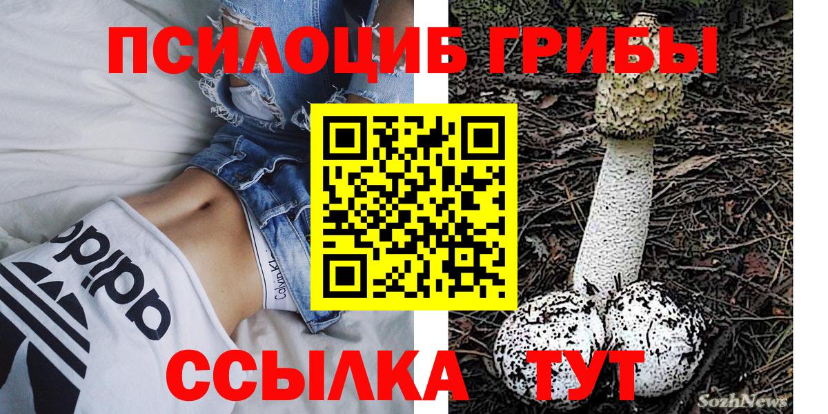 Галлюциногенные грибы прущие грибы Пенза